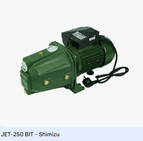 SHIMIZU